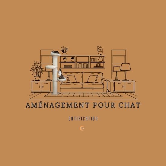 Aménagements pour chats.