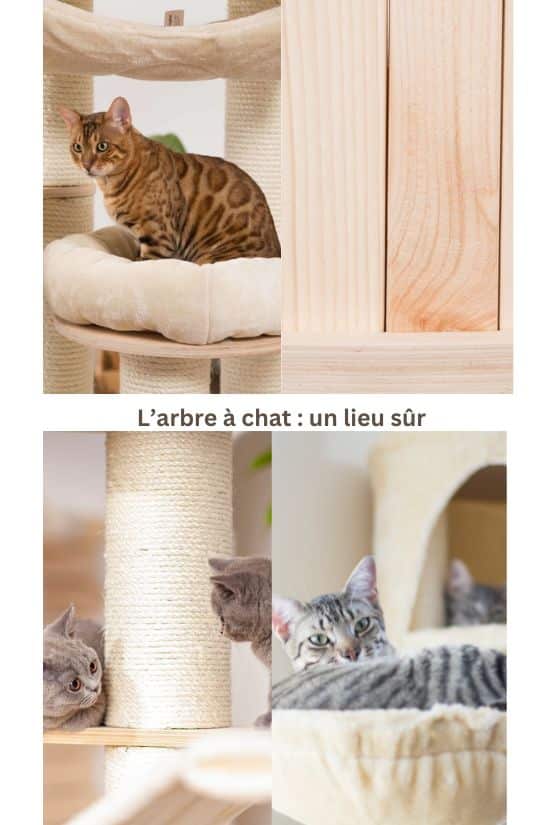 La qualité des matériaux pour un arbre à chat durable