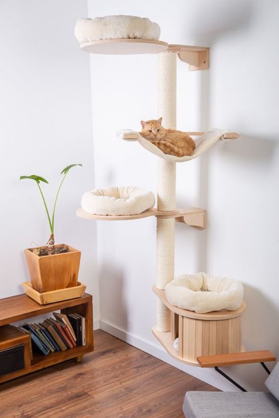 L'importance de la hauteur pour un arbre à chat