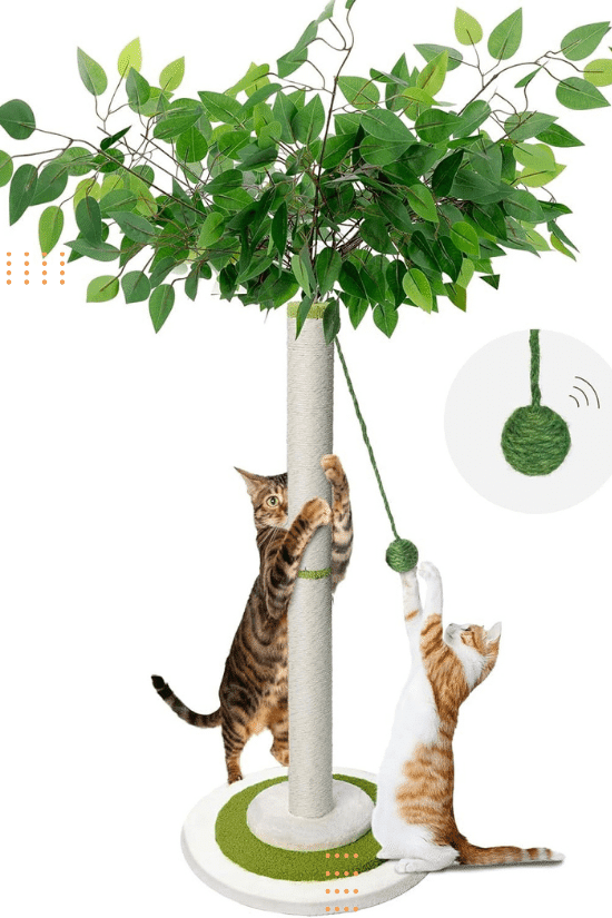 Deux jeunes chats s'amusent avec un griffoir vertical blanc et vert qui ressemble un arbre.