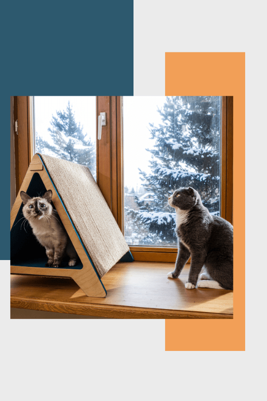 Deux chats sur le rebord d'une fenêtre, l'un regarde l'autre qui est à l'intérieur d'un griffoir élégant en bois en forme de toit de maison.