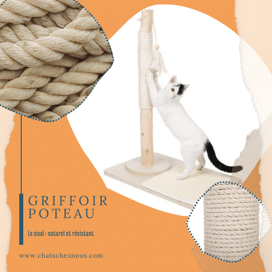 Un griffoir pour chat en forme de tronc recouvert de sisal, avec gros plan sur la corde utilisée pour cet accessoire félin.