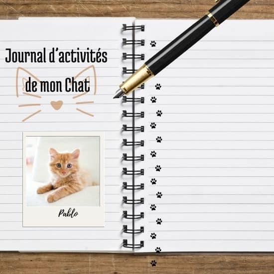 Carnet ouvert avec un stylo qui a écrit sur la page de gauche :"Journal d'activités de mon chat", au-dessus d'une photo de Pablo le chat.