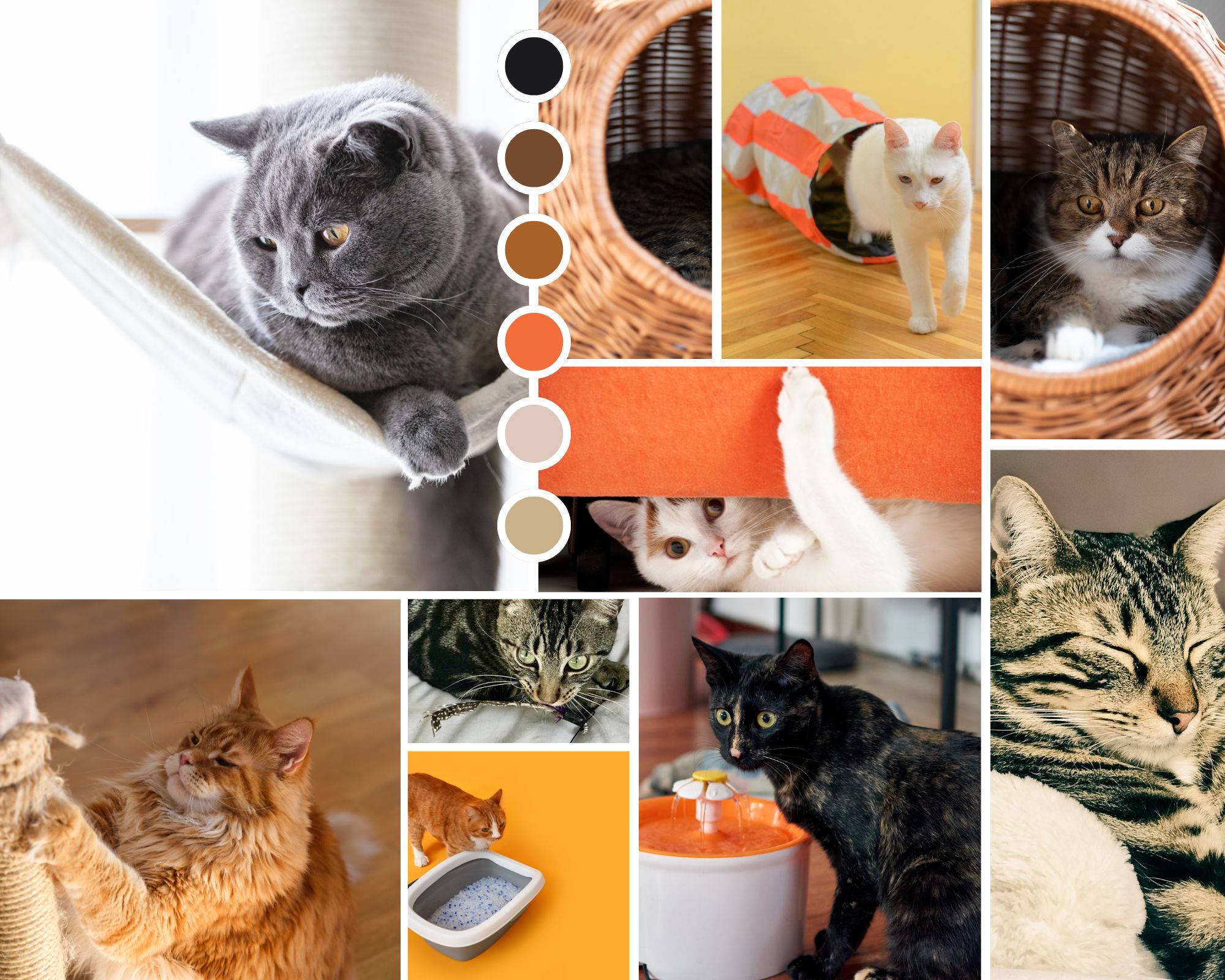 Moodboard aux teintes orange, brun et beige, d'accessoires d'aménagements pour chats