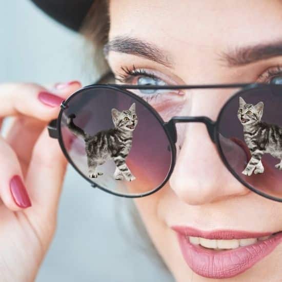 Visage de jeune femme qui porte des lunettes de soleil dans lesquelles se reflète l'image d'un chaton mignon qui miaule