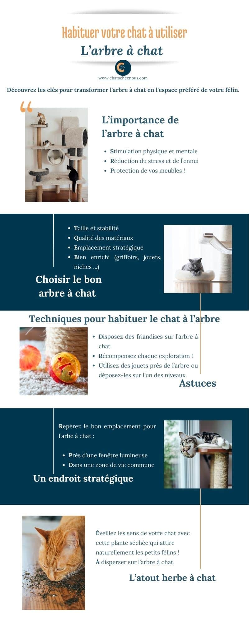 Infographie d'astuces pour habituer le chat à utiliser un arbre à chat.