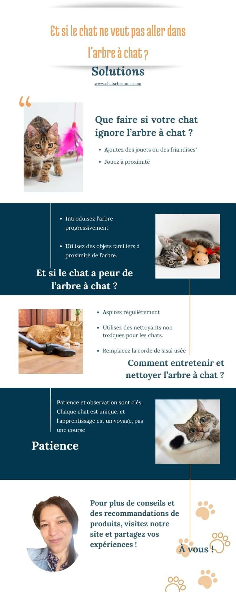 Infographie pour motiver le chat à grimper sur son arbre à chat.