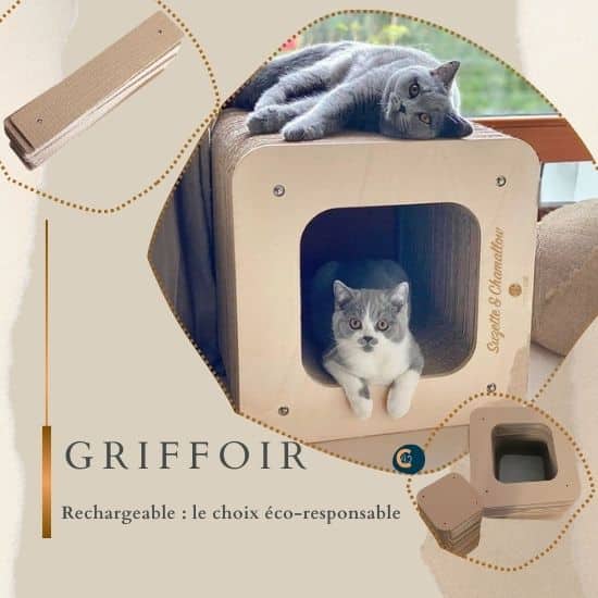 Griffoir carré en bois et carton avec un chat à l'intérieur du cube et un autre posé dessus, l'atout éco-responsable avec les recharges en carton.