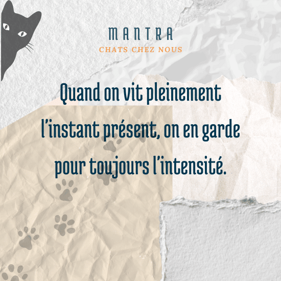 Le mantra pour bien vivre le moment présent et en garder toute son intensité.