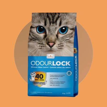 Sac de litière super agglomérante OdourLock pour la qualité de son substrat qui convient à de nombreux chats